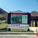 남창계곡 주차장 일대 | [정읍] 입암산 (남창계곡-입암산성-갓바위-남창주차장)