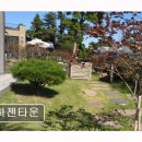 하젠타운