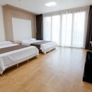 아모렉스 이미지