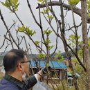 행복샘농장 이미지