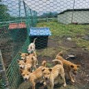 종은목장 이미지