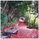 제5차 정기산행 2월 18일 셋째주 금오도비렁길 이미지