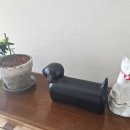 지혜로운생활연구소 이미지