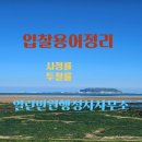 열린민원행정사사무소 이미지