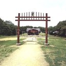 원당동 느티나무 네이버블로그