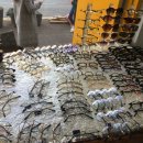 파가니니안경원광양점 이미지