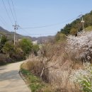 팔야2리 이미지