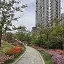 양천구보건소 옆 | 양천구 가볼만한곳 신정네거리역 신정허브원 양천보건소 튤립 개화 실시간 상황 아이와 함께 가기 좋은...