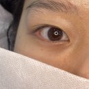 세븐일레븐 평촌자이점 | [의왕 속눈썹펌] 유주뷰티 / 인덕원 속눈썹펌 추천