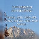 12/11(일) 스마일님' 도봉산 신선대 결산 이미지