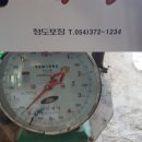 다미농원 이미지