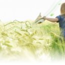 배방읍 배방로 이미지