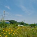 망향비빔국수풍세점 이미지