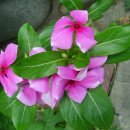 카톨릭병원 이미지