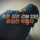 빨간대문 네이버블로그