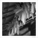 무척산관광농원 이미지