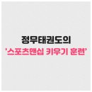 정무 태권도 이미지