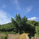 남평문씨본리세거지 주차장 안 이미지