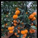 진수농장 이미지