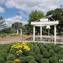 동산1길 이미지