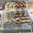 신룽마라&진리텐동 | 250125~250208 : 돼지장염, 필라테스 후 폭식 일상