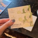 심천공산 | 중국🇨🇳 선전 1박2일 길게보기