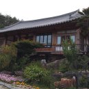 청향채