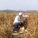 평화농장 이미지