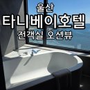 포근룸 지나 | 전객실 오션뷰 울산 타니베이호텔 패밀리트윈룸 1505호 디럭스더블룸 1609호 내돈내산 후기