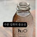 알러뷰점핑