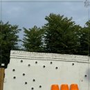 오렌지 애견카페 이미지