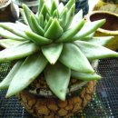 동운농장 이미지