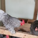 서파가든 이미지