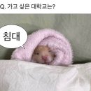 벽진빌딩 이미지