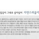가나데코 이미지