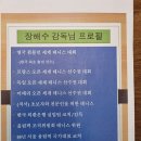 테니스홀릭