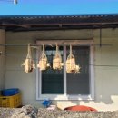 도음산 산림문화수련장 | 포항 흥해에서 펫과 함께 뛰어 놀며 힐링하는 도음산산림문화수련장