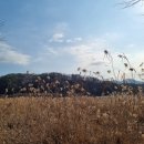 석수아이파트_동 | [경기/양평] 토브 마스터클래스 풀빌라 펜션 워크샵 솔직 후기