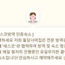 제주독채펜션돌담감성숙소밭담점 이미지