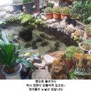 낙원가든 이미지