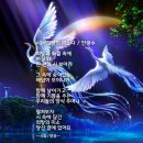 꽃피는언덕 이미지