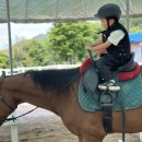 수당목장 이미지