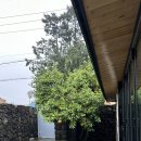 이플제주 이미지