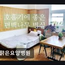 해맑은요양병원 네이버블로그