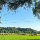 부산돼지국밥 이미지