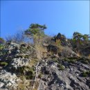 호랑산 둘레길 | 영남알프스&lt;322&gt;호화동산,부처산