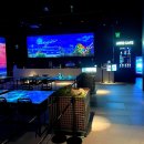 달토끼미술교습소 | 부산 영도 실내 데이트 달 토끼 특별전 테마파크 아르떼 뮤지엄