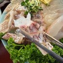 짜잔정육점