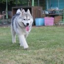 운동농장 이미지