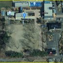 임고초등학교 | 영천 아름다운 플라타너스 숲 임고초등학교 대구 근교 여행